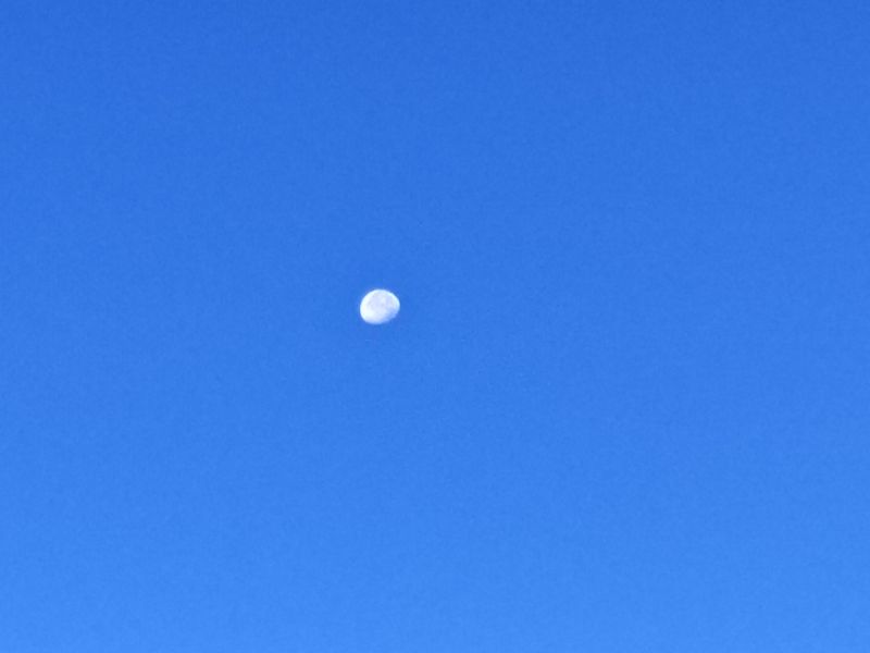 File:Luna di giorno.jpg