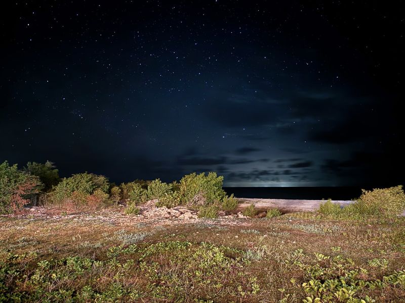 File:Barbuda in 2025-E 08.jpg