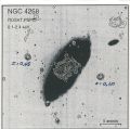 Miniatura della versione delle 14:51, 9 mag 2025